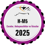 h-m5_rozet-2025